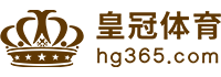 Logo 顶盛体育
